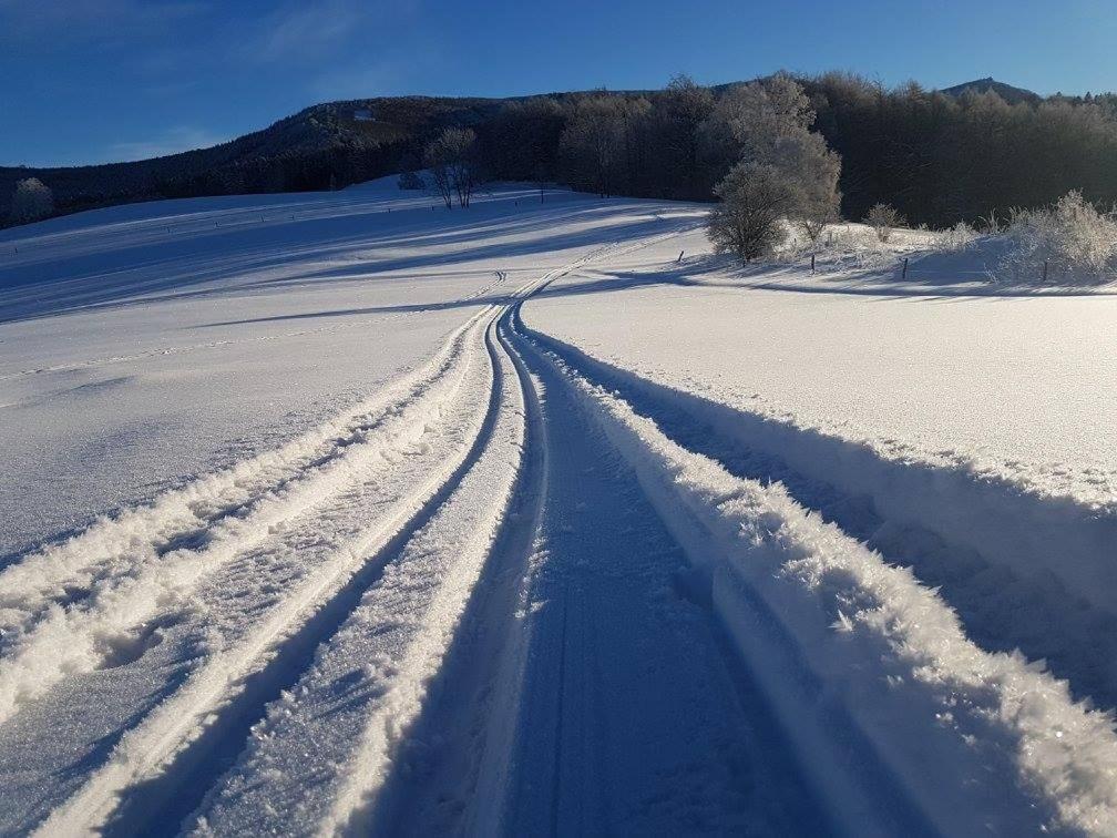 Apartman Bala Appartement Nove Mesto pod Smrkem Buitenkant foto